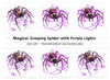 Jumping Spider with Purple Lights Clipart Bundle