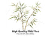 Bamboo Clipart Bundle