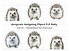 Adorable Hedgehog Clipart Bundle