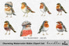 Charming Robin Clipart Bundle