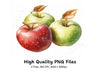 Apples Clipart Bundle