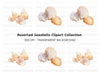 Elegant Seashells Clipart Bundle