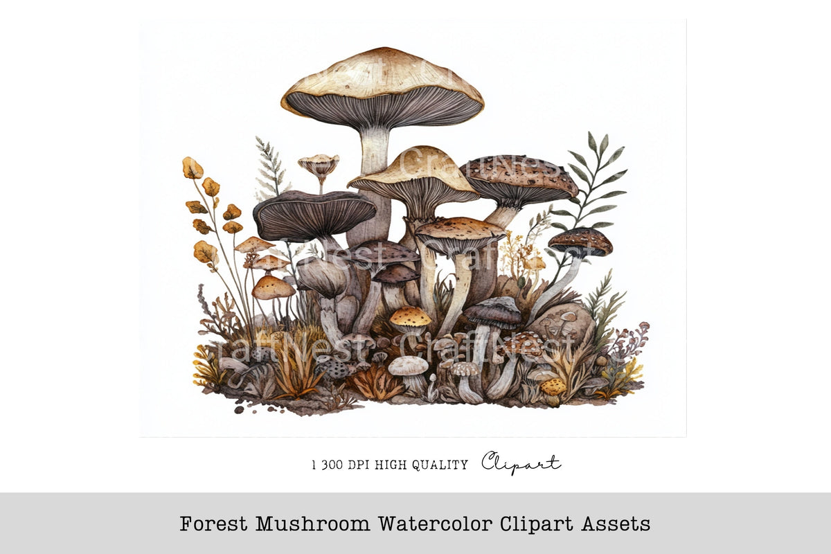 Forest Mushroom Clipart Bundle