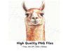 Smiling Llama Head Clipart Bundle
