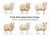 Natural Wool Sheep Clipart Bundle