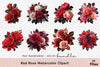 Red Rose Clipart Bundle