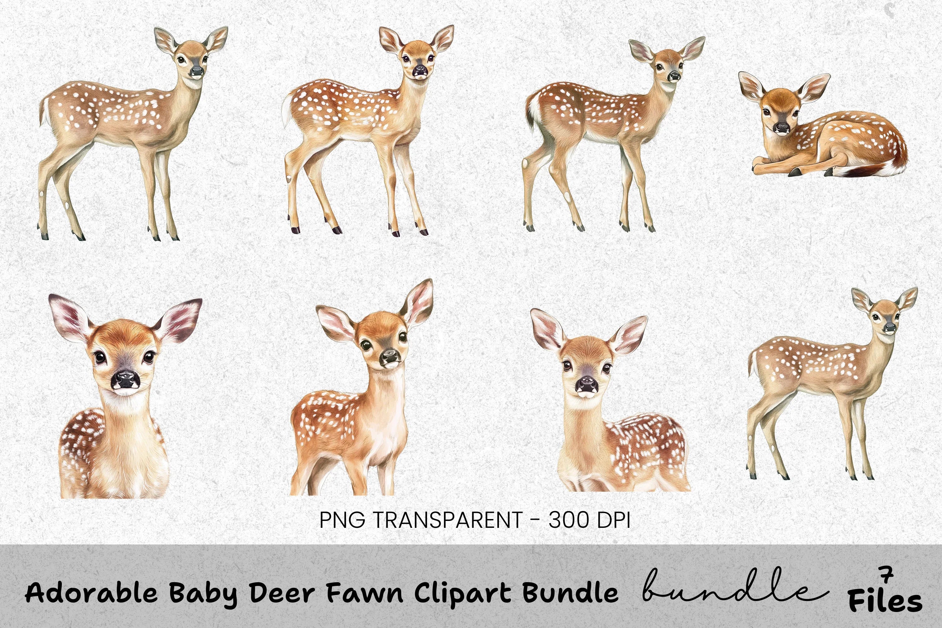 Adorable Baby Deer Fawn Clipart Bundle