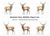 Deer Clipart Bundle