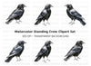 Dark Raven Bird Clipart Bundle