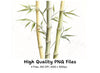 Bamboo Stalks Clipart Bundle