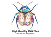 Whimsical Jewel Beetle Clipart Bundle