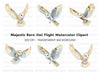 Flying Barn Owl Clipart Bundle