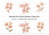 Delicate Pink Cherry Blossom Clipart Bundle