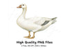 White Geese Clipart Bundle