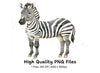 Zebra Illustration Clipart Bundle