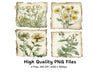 Wildflower Botanical Clipart Bundle