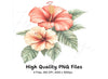 Vibrant Hibiscus Flower Clipart Bundle