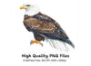 Bald Eagle Clipart Bundle