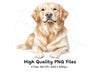 Golden Retriever Dog Clipart Bundle