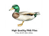 Majestic Mallard Duck Clipart Bundle