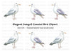 Graceful Seagull Clipart Bundle