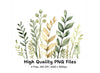 Botanical Clipart Bundle