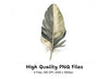 Feathers Clipart Bundle