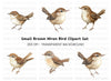 Charming Brown Wren Bird Clipart Bundle