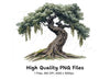Twisted Oak Tree Illustration Clipart Bundle