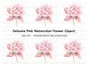 Pink Hydrangea Blossom Clipart Bundle