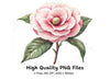 Elegant Pink Camellia Flower Clipart Bundle