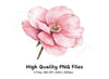 Blush Pink Flower Clipart Bundle