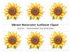Vibrant Sunflower Clipart Bundle