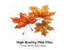 Autumn Maple Leaves Clipart Bundle