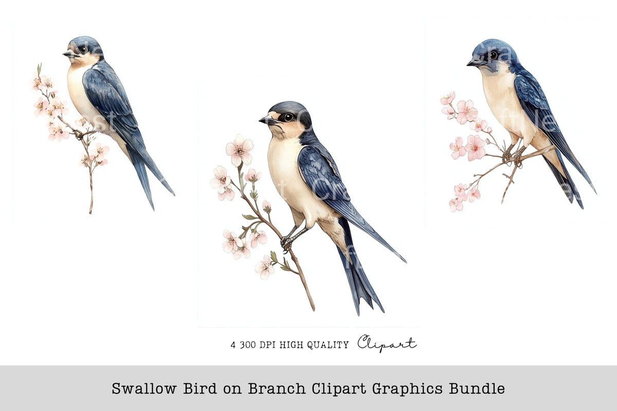 Swallow Bird On Branch Graphics Clipart Bundle