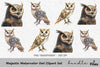 Majestic Owl Clipart Bundle
