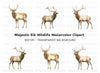 Majestic Elk Clipart Bundle