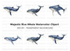 Blue Whale Clipart Bundle