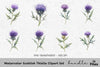 Scottish Thistle Clipart Bundle