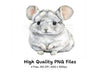 Chinchilla Clipart Bundle
