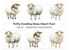 Cute White Sheep Clipart Bundle