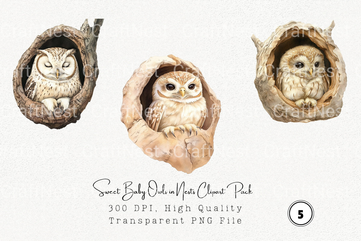 Sweet Baby Owls In Nests Clipart Bundle