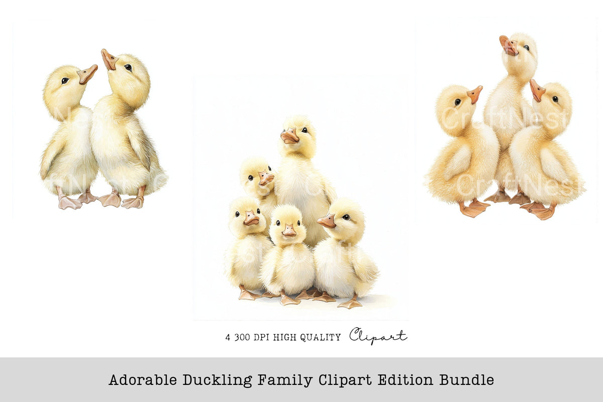 Adorable Duckling Family Edition Clipart Bundle