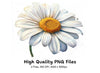 Beautiful Daisy Flower Clipart Bundle