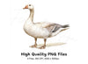 Geese Clipart Bundle