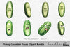 Funny Cucumber Faces Clipart Bundle