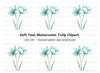 Elegant Teal Flower Buds Clipart Bundle