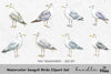 Seagull Birds Clipart Bundle