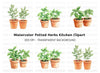Fresh Herb Potted Plants Clipart Bundle