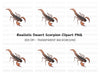 Realistic Scorpion Insect Clipart Bundle